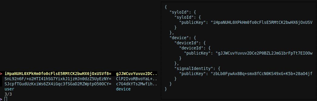 detailed sylo summary